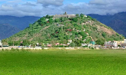 இன்று மாலை கார்த்திகை தீபத்திருவிழா: பழனி மலைக்கோவிலில் குவிந்த பக்தர்கள்