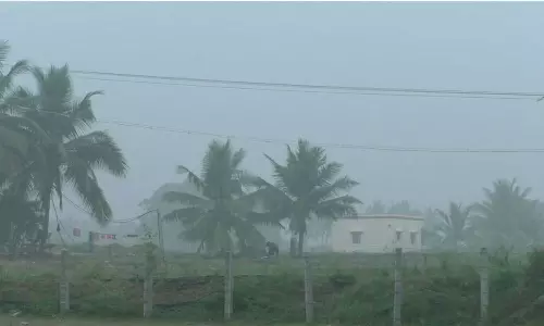 தருமபுரி மாவட்டத்தில் கடும் பனிப்பொழிவு