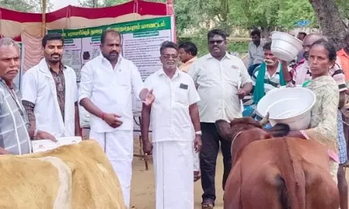 கால்நடை மருத்துவ முகாம்