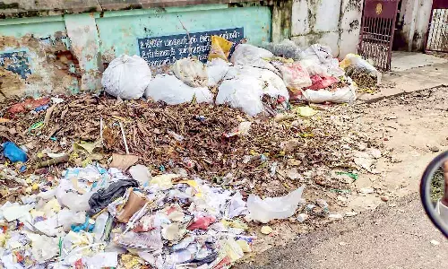 சீர்காழி சாலைகளில் அள்ளப்படாத குப்பைகளால் சுகாதார சீர்கேடு