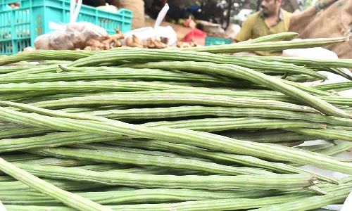 ஈரோடு பெரிய மார்க்கெட்டில் முருங்கைக்காய் விலை கிடுகிடு உயர்வு