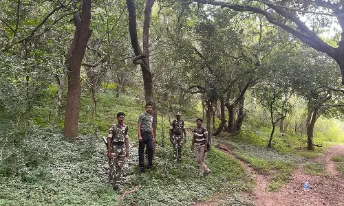 உடுமலை வனச்சரகத்தில் சிறுத்தைகள் நடமாட்டம் அதிகரிப்பு- வனத்துறை அதிகாரிகள் தகவல்