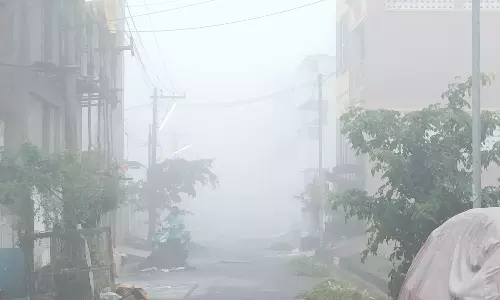 குமரி மாவட்டத்தில் கடும் பனிப்பொழிவு- பூக்கள் உற்பத்தி பாதிப்பு