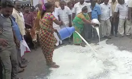 பால் உற்பத்தியாளர்கள் போராட்டம்