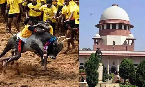 ஜல்லிக்கட்டு வழக்கில் தமிழக அரசின் வாதங்கள் அனைத்தும் மோசடி- உச்ச நீதிமன்றத்தில் பீட்டா வாதம்
