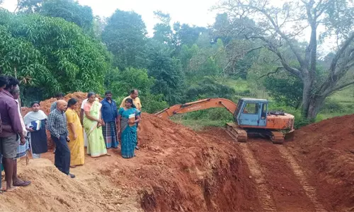 கும்பப்பாடி கிராமத்தில் தோட்டக்கலைத் துறை இயக்குனர் ஆய்வு