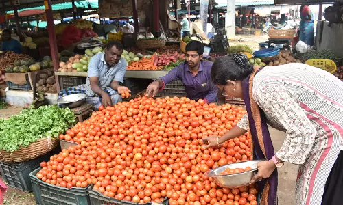காய்கறி வரத்து 25 டன்னாக அதிகரிப்பு