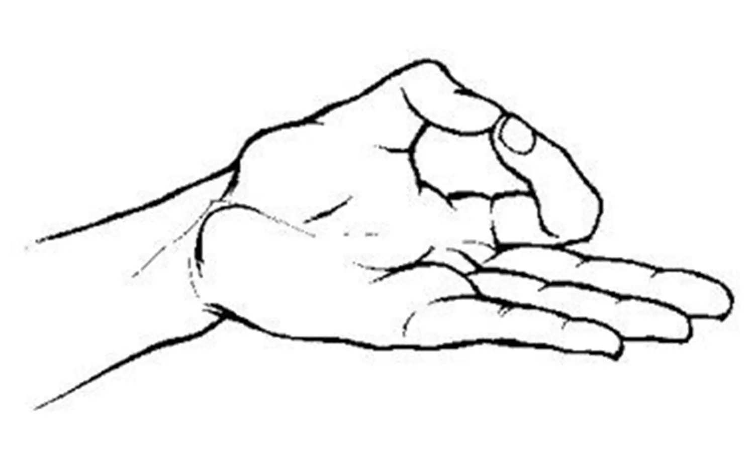 நுரையீரலுக்கு சக்தி தரும் தாரண சக்தி முத்திரை நுரையீரலுக்கு சக்தி தரும் தாரண சக்தி முத்திரை