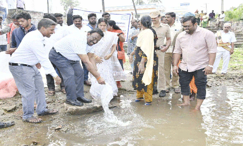 சுருளியாற்றில் நாட்டு மீன் குஞ்சுகள் இருப்பு செய்யும் பணி  கலெக்டர் தொடங்கி வைத்தார்