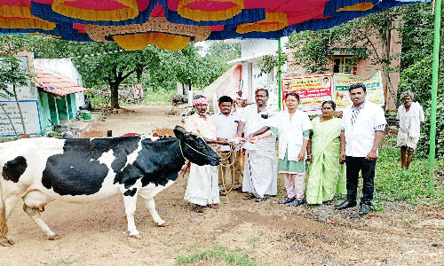 செந்துறை அருகே கால்நடை மருத்துவ முகாம்