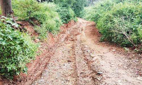 மயிலாடும்பாறை-வண்ணாத்திபாறை சாலை சீரமைக்கப்படுமா?  பொதுமக்கள் தவிப்பு