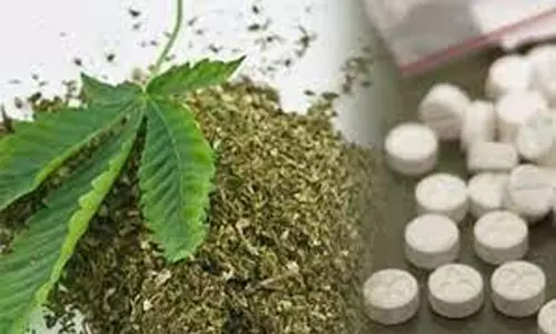 போதையில் வாலிபரை தாக்கி நிர்வாணமாக்கி புகைப்படம் எடுத்த கல்லூரி மாணவர்கள்