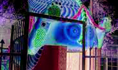 விரிஞ்சிபுரம் மார்க்கபந்தீஸ்வரர் கோவிலில் நாளை நள்ளிரவில் சிம்மக்குளம் திறப்பு