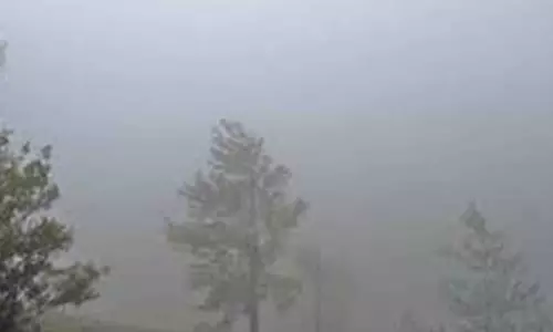 வேலூர் உள்ளிட்ட 4 மாவட்டங்களில் கடும் குளிர்