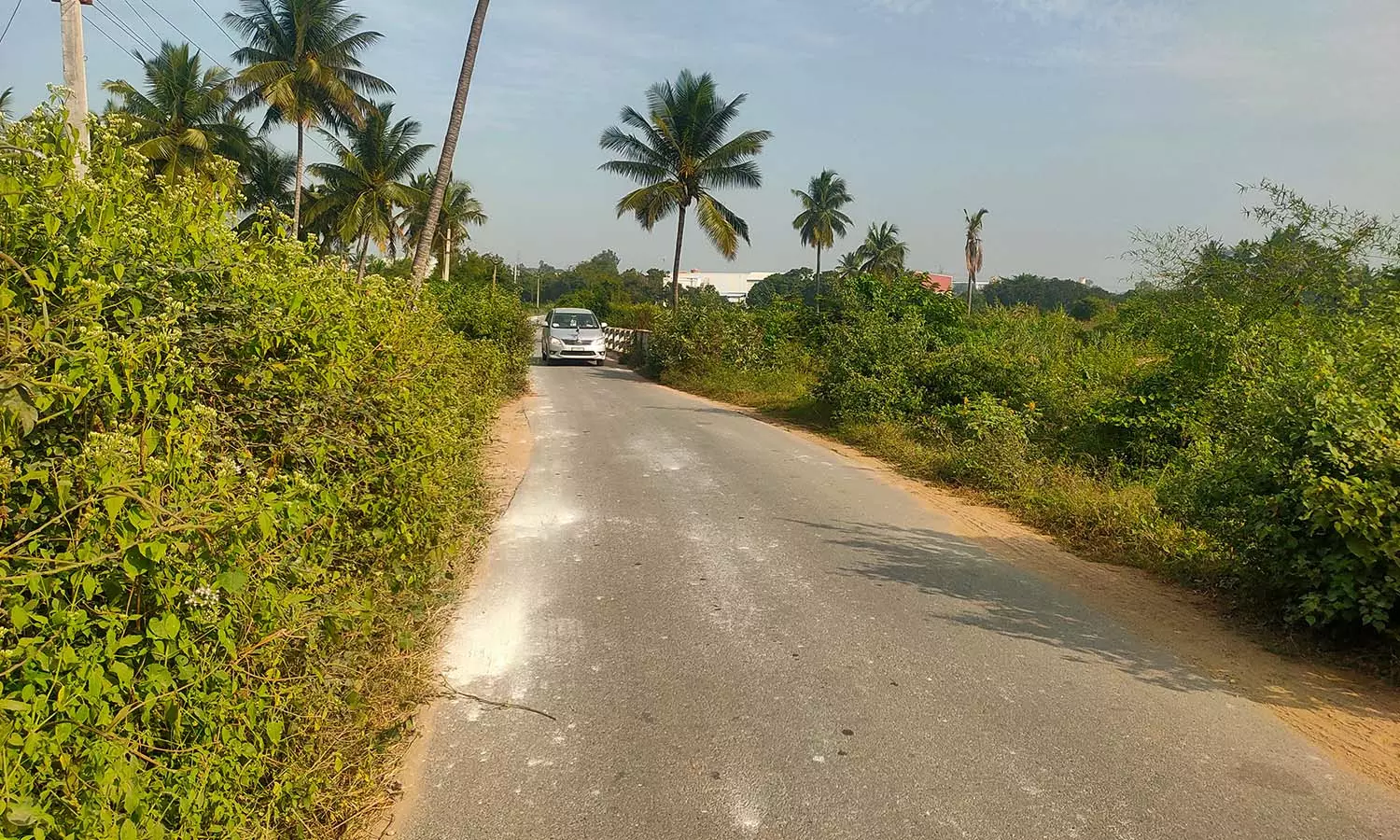 சூளகிரி கொள்ளப்பள்ளி-எனுசோனை  சாலையின் இருபுறமும் முள் புதர்கள்  வாகன ஒட்டிகள்,பொதுமக்கள் அவதி