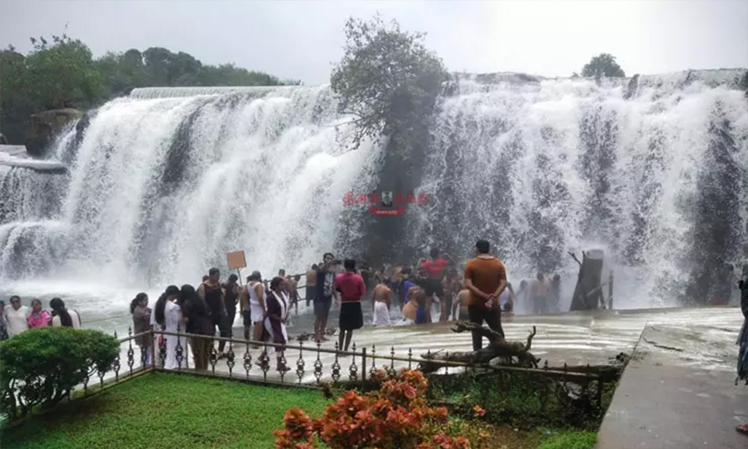 திற்பரப்பு அருவியில் சுற்றுலா பயணிகள் ஆனந்த குளியல்...! | Tourists enjoy  bathing in Thirparappu Falls...!