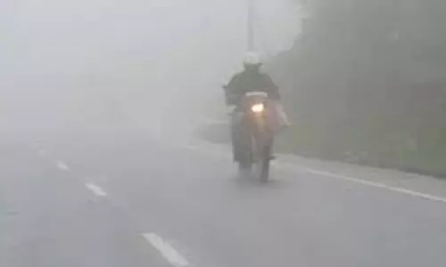 நீலகிரியில் கடும் குளிர்-பனிமூட்டம்: பொதுமக்களின் இயல்பு வாழ்க்கை பாதிப்பு