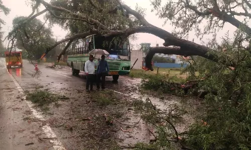 வேலூர், திருவண்ணாமலை மாவட்டத்தில் விடிய, விடிய புயல் மழை