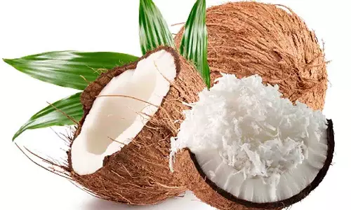 மழை-பனியால் தேங்காய் பருப்பு   உற்பத்தி பாதிப்பு
