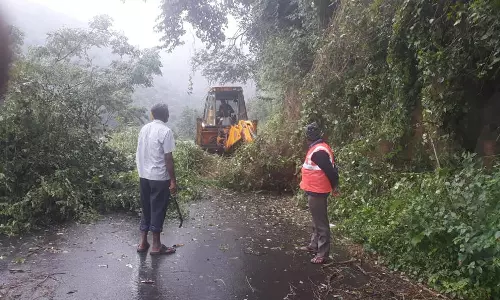 கொடைக்கானலில் இருளில் மூழ்கிய கிராமங்கள்- புயலால் மரங்கள், மின் கம்பங்கள் விழுந்து போக்குவரத்து பாதிப்பு