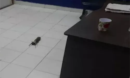 பஞ்சாப் போலீஸ் நிலையம் மீது ராக்கெட் லாஞ்சர் தாக்குதல்- பாகிஸ்தானுக்கு தொடர்பா?