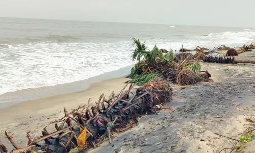 ஆர்ப்பரித்த கடல் சீற்றம்  உருக்குலைந்து வரும் கடலூர் சுப உப்பலவாடி கடற்கரை  மாவட்ட நிர்வாகம் நடவடிக்கை எடுக்குமா?