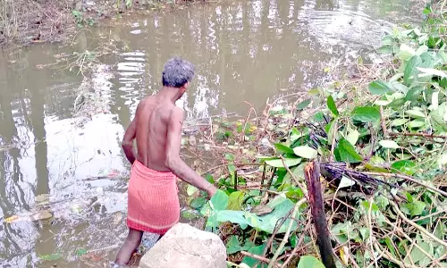 வடிகால் வாய்க்கால் சுத்தப்படுத்தும் பணி தீவிரம்