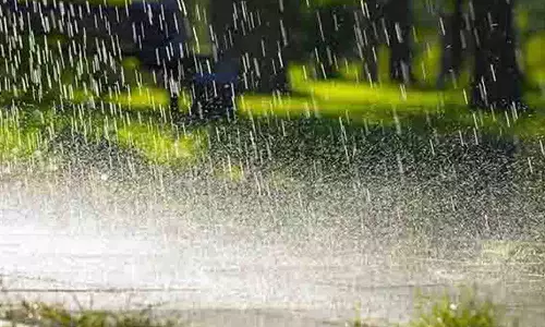 தருமபுரி, கிருஷ்ணகிரி மாவட்டங்களில்   தொடரும் சாரல் மழையால் இயல்பு வாழ்க்கை பாதிப்பு