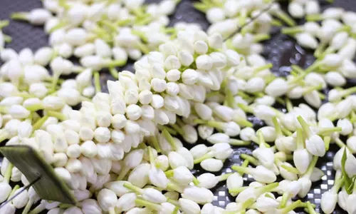 ஆலங்குளத்தில் பூக்களின் விலை கடும் உயர்வு- மல்லிகை பூ கிலோ ரூ.4 ஆயிரத்திற்கு விற்பனை