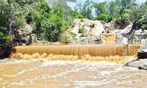 அமிர்தி நாகநதி ஆற்றில் வெள்ளப்பெருக்கு