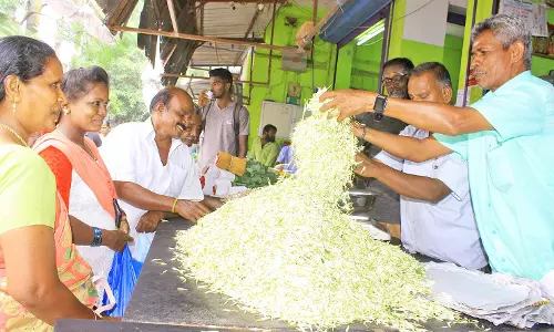 தொடர்ந்து முகூர்த்த நாட்கள் வருவதால் நெல்லையில் மல்லிகை பூ கிலோ ரூ.5 ஆயிரத்திற்கு விற்பனை - ஒரேநாளில் ரூ.2 ஆயிரம் உயர்வு