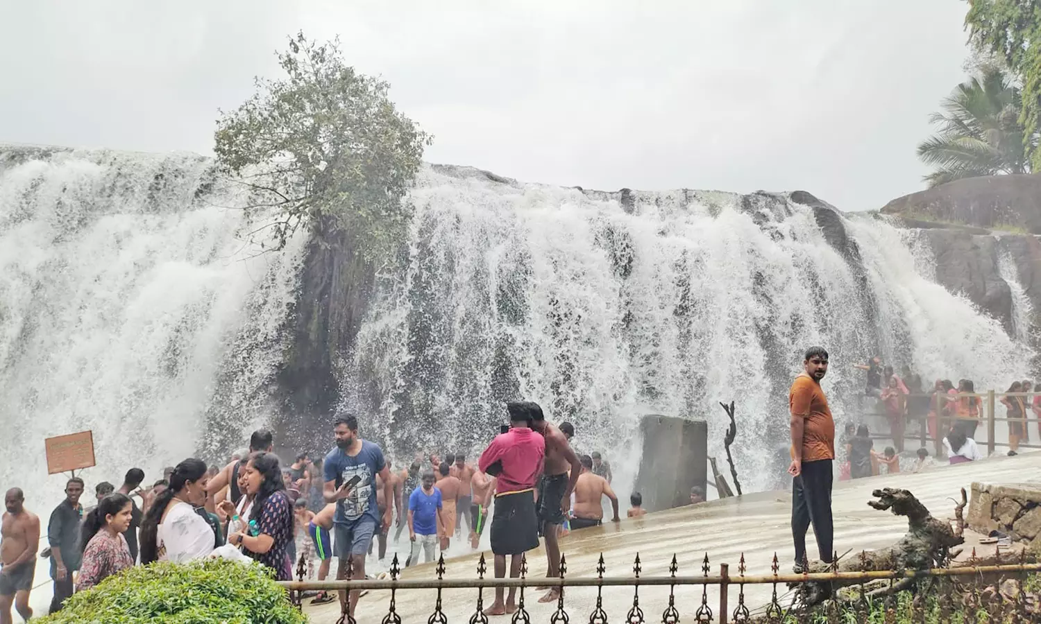 திற்பரப்பு அருவியில் குளித்து மகிழ்ந்த சுற்றுலா பயணிகள் திற்பரப்பு அருவியில் குளித்து மகிழ்ந்த சுற்றுலா பயணிகள்