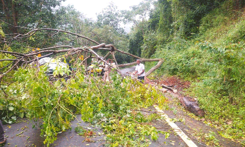 கடும் குளிரால் கொடைக்கானலுக்கு சுற்றுலா பயணிகள் வருகை குறைவு பிளாஸ்டிக் பயன்பாடு குறித்து அதிகாரிகள் ஆய்வு