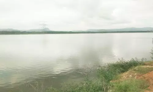 குடியாத்தம் நெல்லூர் பேட்டை பெரிய ஏரியில் கலெக்டர் ஆய்வு