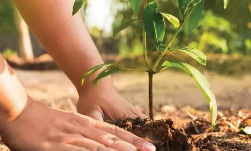 அரசு உயர்நிலைப்பள்ளியில் மரக்கன்றுகள் நடும் விழா