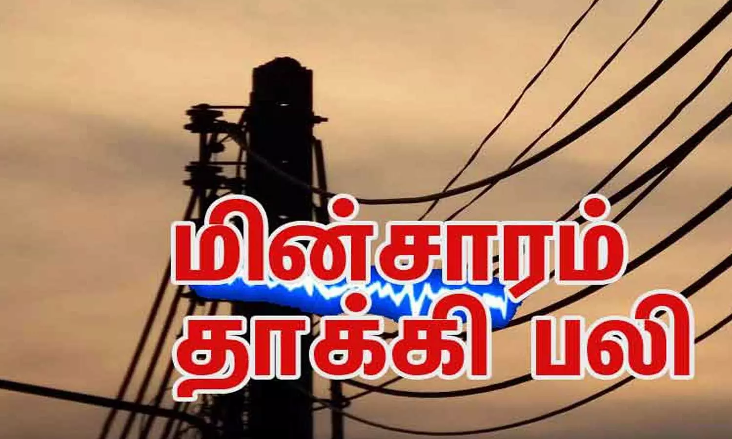 மின்சாரம் தாக்கி மாணவன் பலி