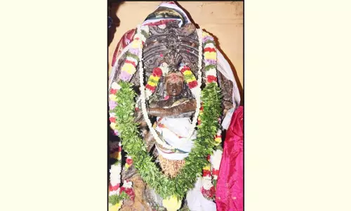 மரகத நடராஜரின்  ஆருத்ரா தரிசனம்