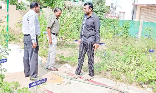 வேதாரண்யத்தில், மூலிகை வனத்தை கலெக்டர் ஆய்வு
