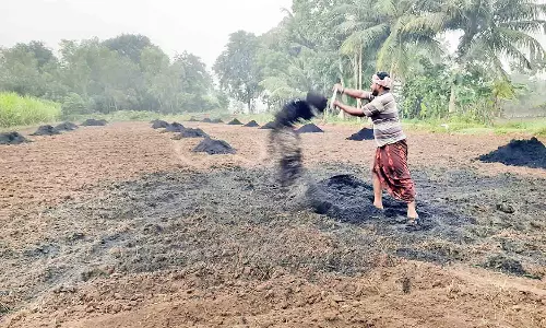 நிலக்கடலை விதைப்பதற்கான முன்னேற்பாடு பணிகளில் விவசாயிகள் மும்முரம்