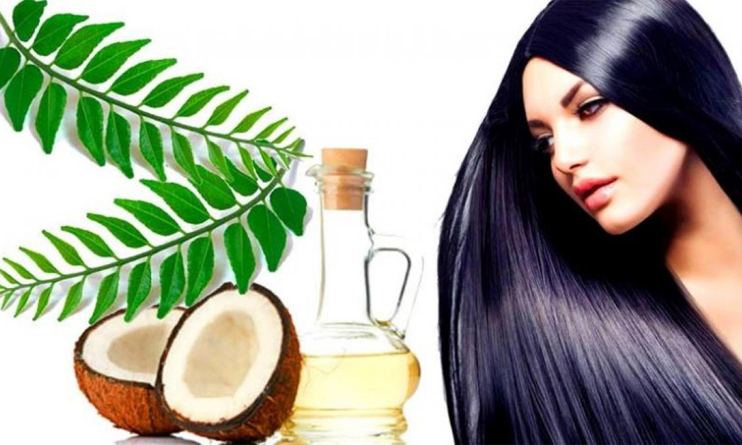 இளநரை வராமல் தடுக்கும் கறிவேப்பிலை எண்ணெயை செய்யலாம் வாங்க... curry