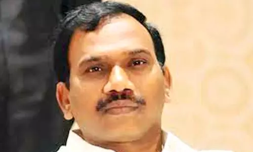 அவிநாசியில் வளர்ச்சி திட்டப்பணிகள் - ஆ.ராசா எம்.பி., தொடங்கி வைத்தார்