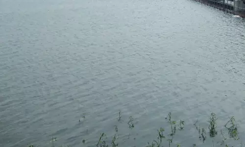 காஞ்சிபுரம்-செங்கல்பட்டு மாவட்டத்தில் ஒரே நாளில் 201 ஏரிகள் நிரம்பியது