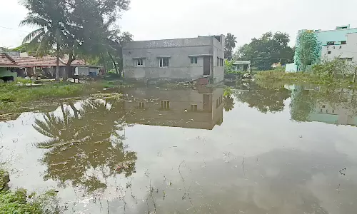தருமபுாி நகராட்சிக்குட்பட்ட   வாணிய கால்வாய் ஆக்கிரமிப்பால்   விவசாய நிலங்களில் புகுந்த மழைநீா்