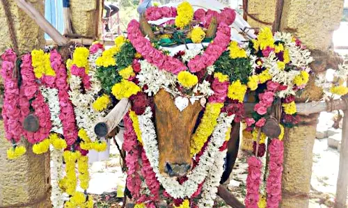 இறந்த ஜல்லிக்கட்டு காளைக்கு கிராம மக்கள் அஞ்சலி