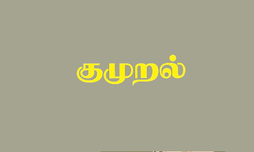 சூளகிரி சுற்றுவட்டார பகுதிகளில்  இலவச வேட்டி, சேலைகள் வழங்க ரூ.20 லஞ்சம் கேட்கும் அதிகாரிகள்   -முதியோர் உதவி தொகை பெறுவோர் குமுறல்