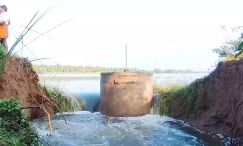 செய்யூர் அருகே புதுப்பட்டு ஏரியின் கரை உடைந்தது- 150 ஏக்கர் நெற்பயிர் தண்ணீரில் மூழ்கின