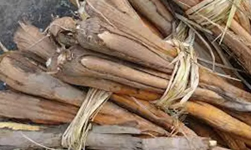 மார்க்கெட்டுக்கு பனங்கிழங்குகள் வரத்து அதிகரிப்பு