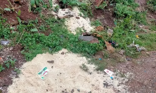 ஊட்டி ஆர்.கே.புரம் சாலையில்  புதரில் கொட்டப்பட்ட ரேஷன் அரிசி