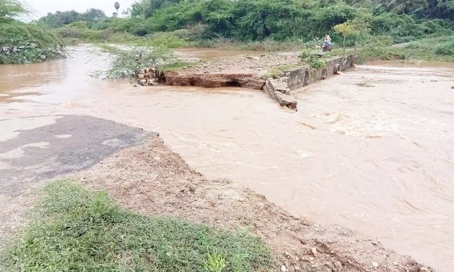 திண்டுக்கல் அருகே கனமழைக்கு அடித்து செல்லப்பட்ட தரைப்பாலம் தனித்தீவான கிராமங்கள் திண்டுக்கல் அருகே கனமழைக்கு அடித்து செல்லப்பட்ட தரைப்பாலம் தனித்தீவான கிராமங்கள்