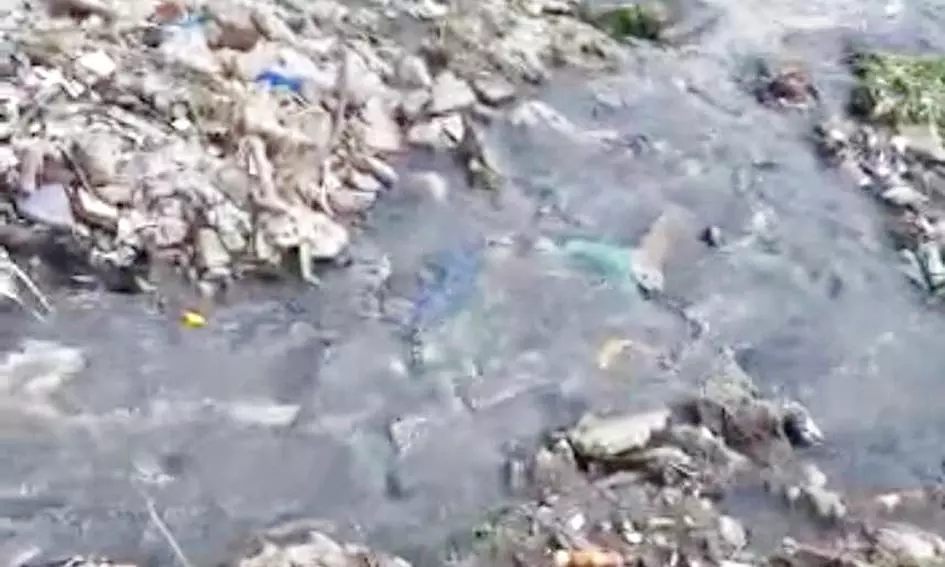 கழிவுநீர் கலப்பதால் கடல் வளம் பாதிக்கும் அபாயம்